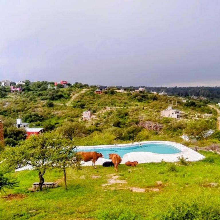 Balcones del Cristal - Tacuarita - One-Bedroom House - 33