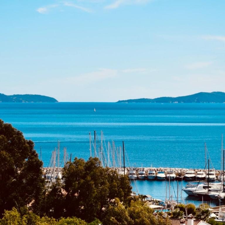 Grand studio 28m2 terrasse vue mer 180 - Plein Sud - Piscine - clim - Parking - Appartement 1 Chambre de Luxe - Vue sur Port - 20