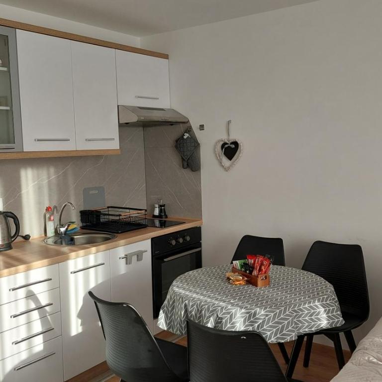 Kopaonik Alibi25 - One-Bedroom Apartment - 11