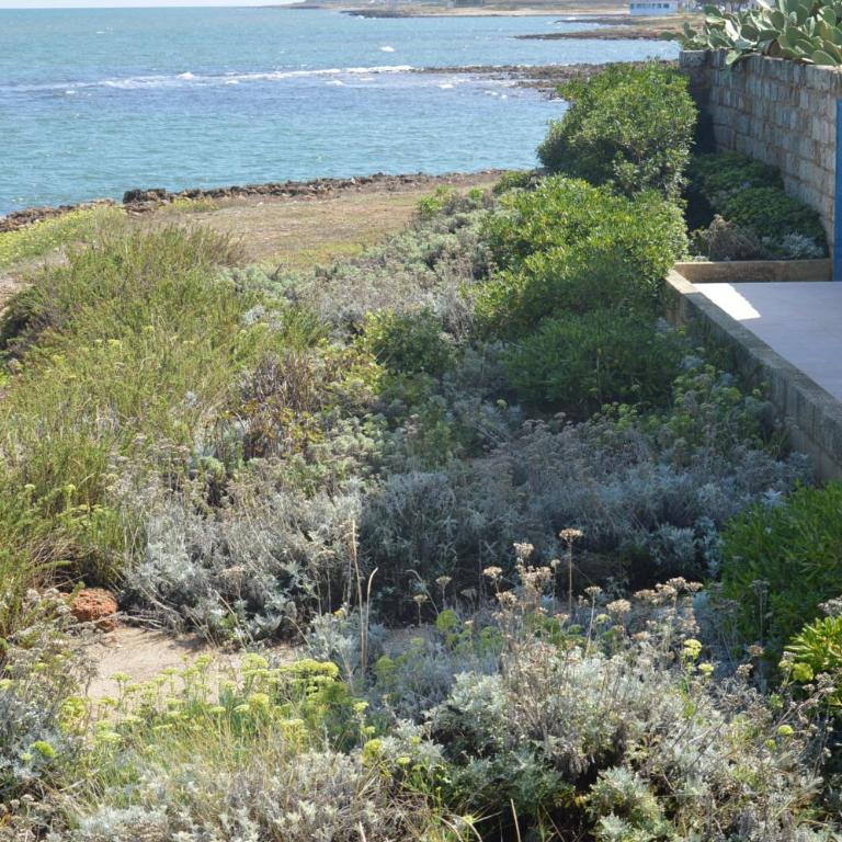Il Rifugio dello Scoglio - Villa con Vista Mare - 47