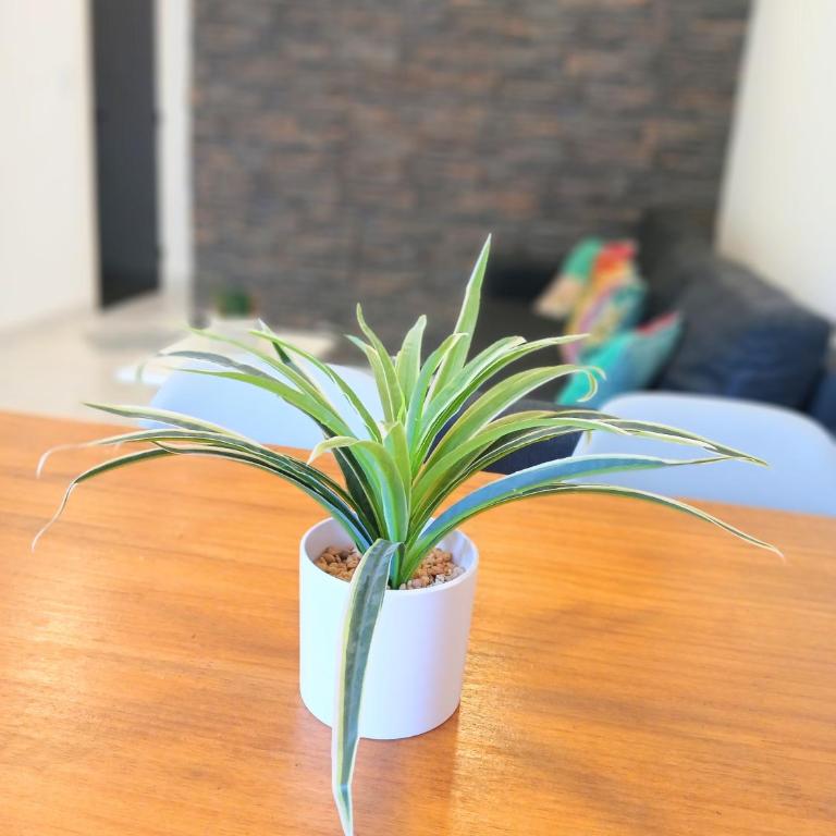 Departamentos Necochea Playa - Apartamento de 1 dormitorio - 3