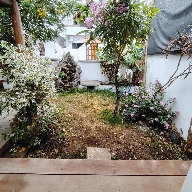 Alma de cedrela - Suite - 3