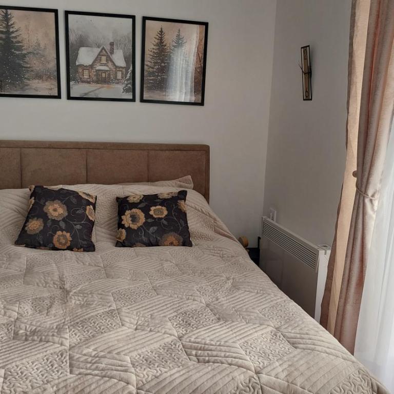 Kopaonik Alibi25 - One-Bedroom Apartment - 5