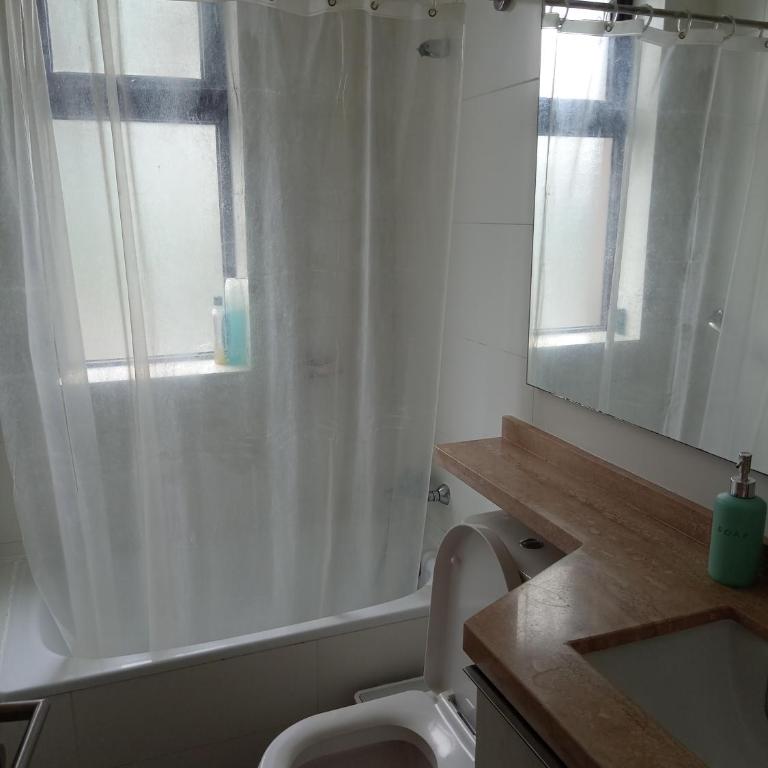 Departamento a Orillas del Lago Llanquihue - Two-Bedroom Apartment - 4