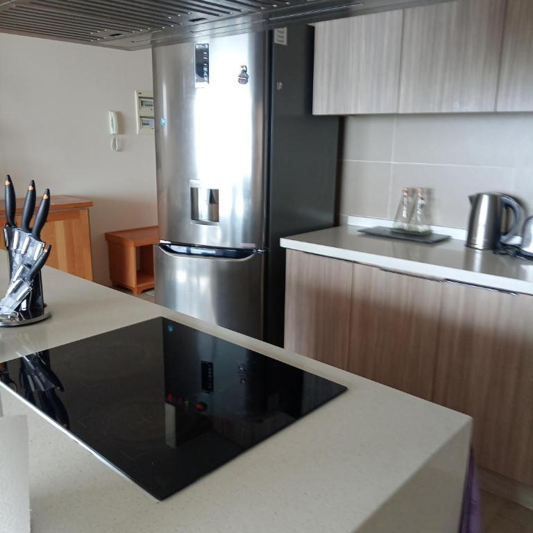 Departamento a Orillas del Lago Llanquihue - Two-Bedroom Apartment - 5