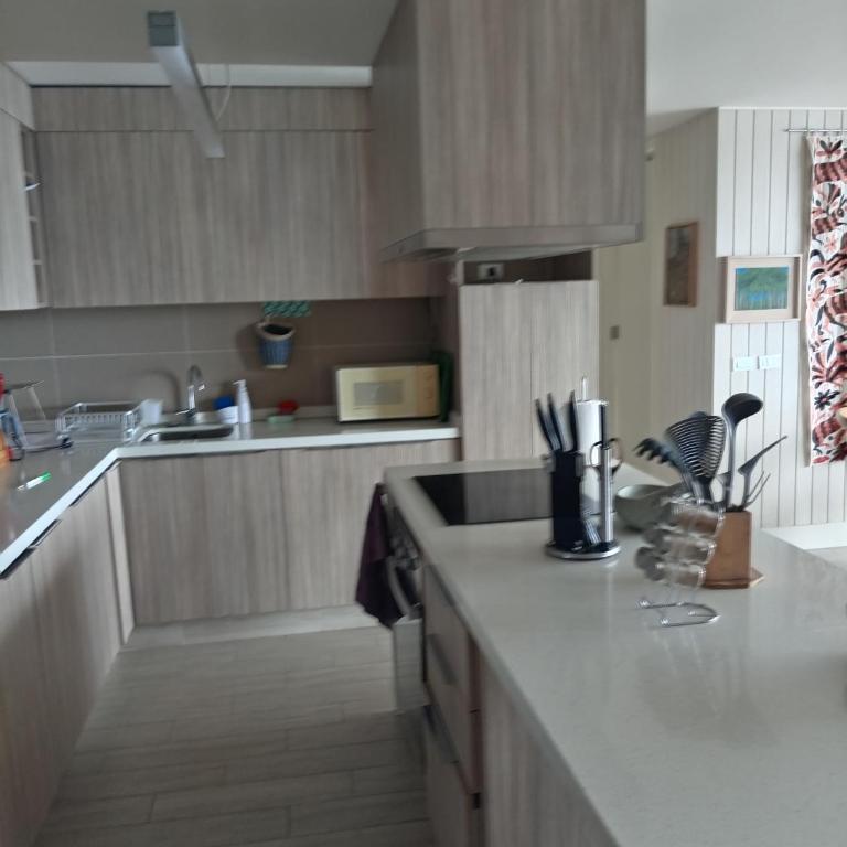 Departamento a Orillas del Lago Llanquihue - Two-Bedroom Apartment - 8