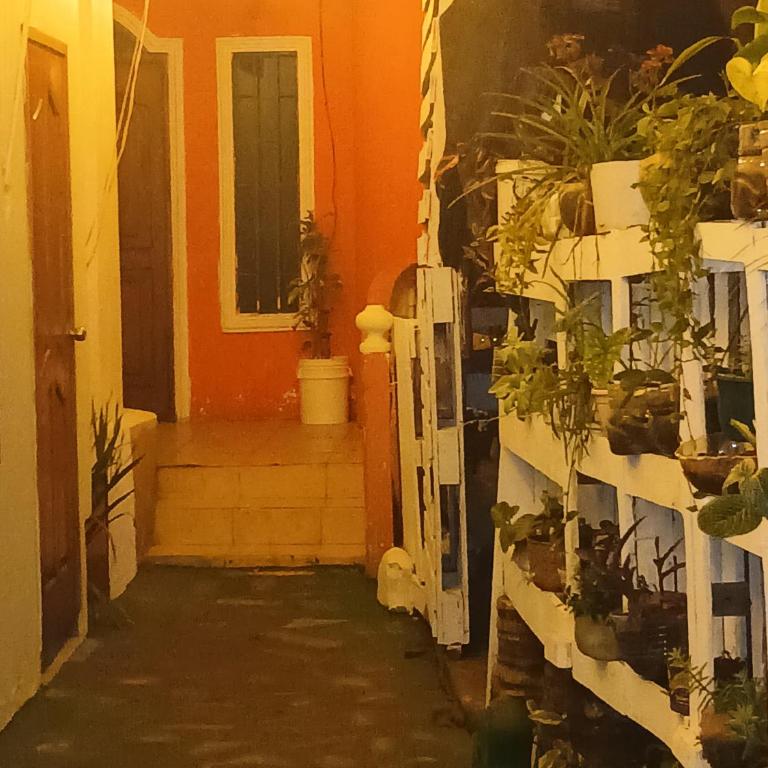 Casa Jireh - Three-Bedroom Apartment - 7