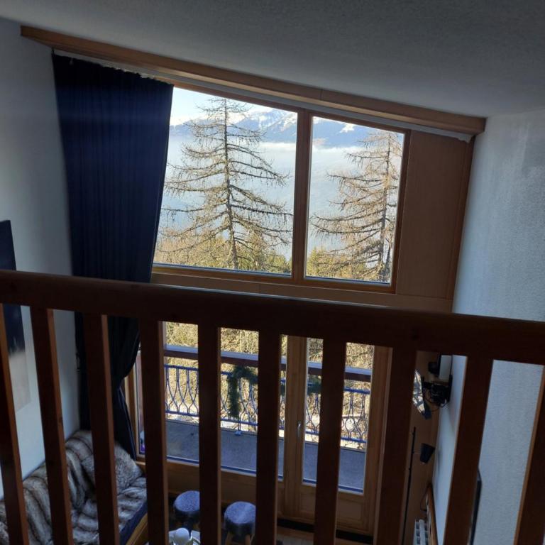 RESIDENCE LE RUITOR Duplex dernier étage vue panoramique classé 4 Cristaux Paradiski Piscine privée chauffée en ETE - Appartement en Duplex - 67