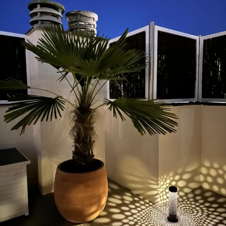 Apartamento Casa Gallardo - Apartamento de 1 dormitorio - 60