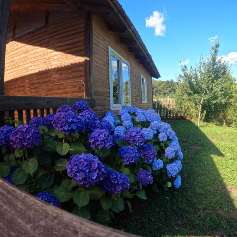 Cabañas el rincón de Colbún - Two-Bedroom Townhouse - 4