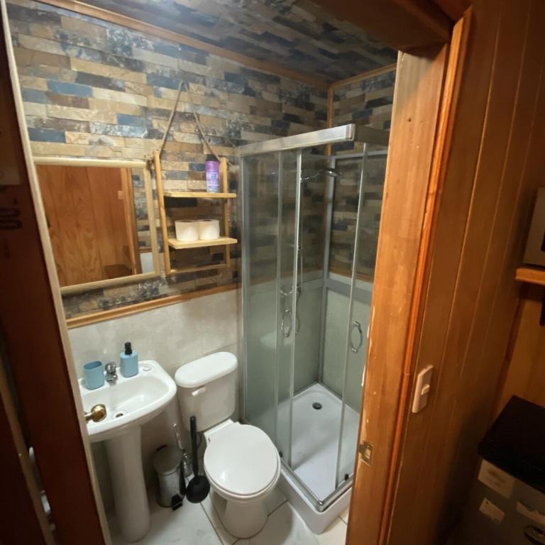 Estudio pareado de madera en Valdivia - One-Bedroom House - 14