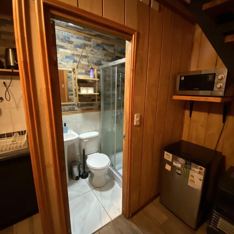 Estudio pareado de madera en Valdivia - One-Bedroom House - 21