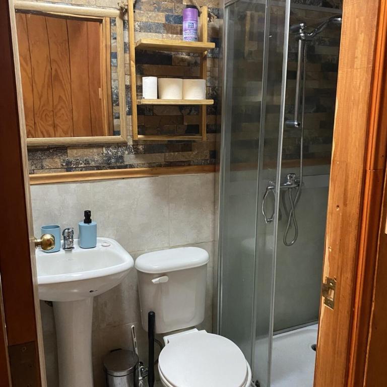 Estudio pareado de madera en Valdivia - One-Bedroom House - 28