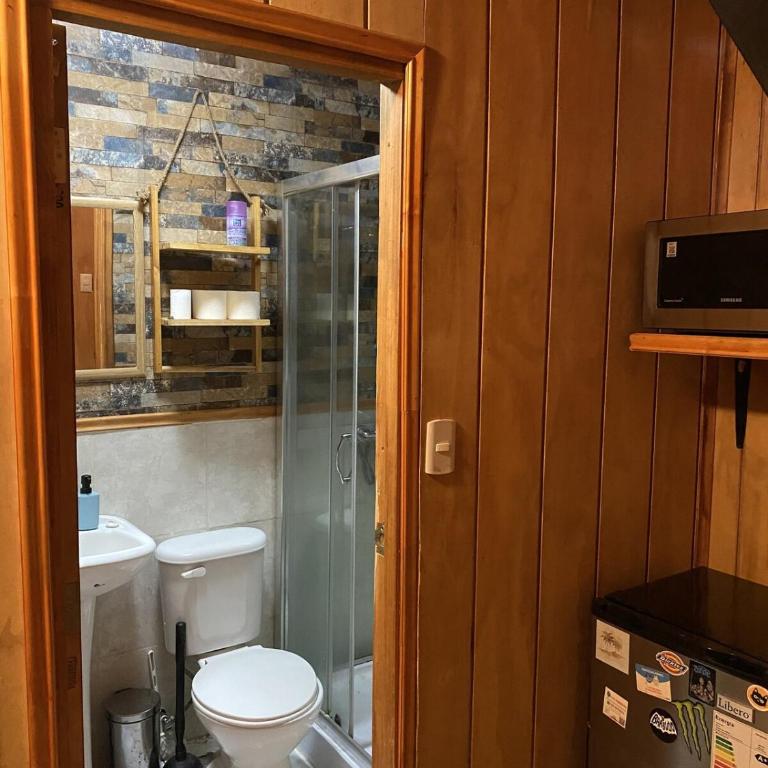 Estudio pareado de madera en Valdivia - One-Bedroom House - 31