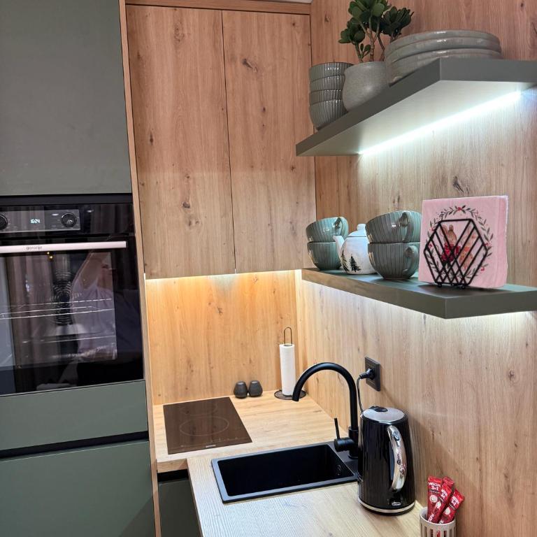 CENTRAL SQUARE Tuzla - Apartman sa 1 Spavaćom Sobom - 22