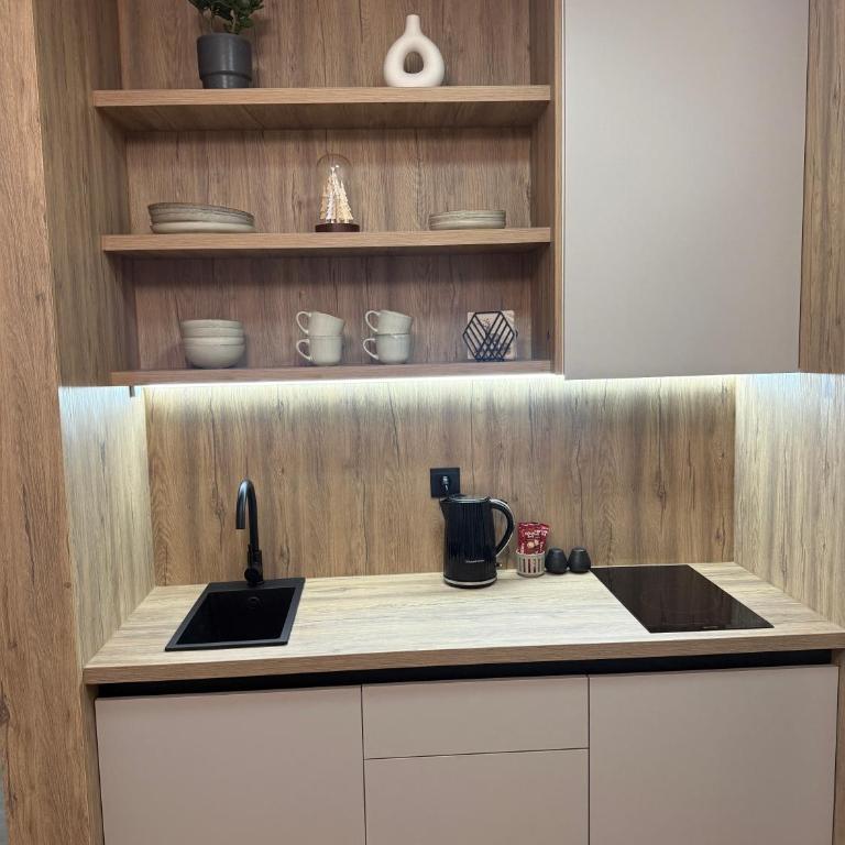 CENTRAL SQUARE Tuzla - Apartman sa 1 Spavaćom Sobom - 18