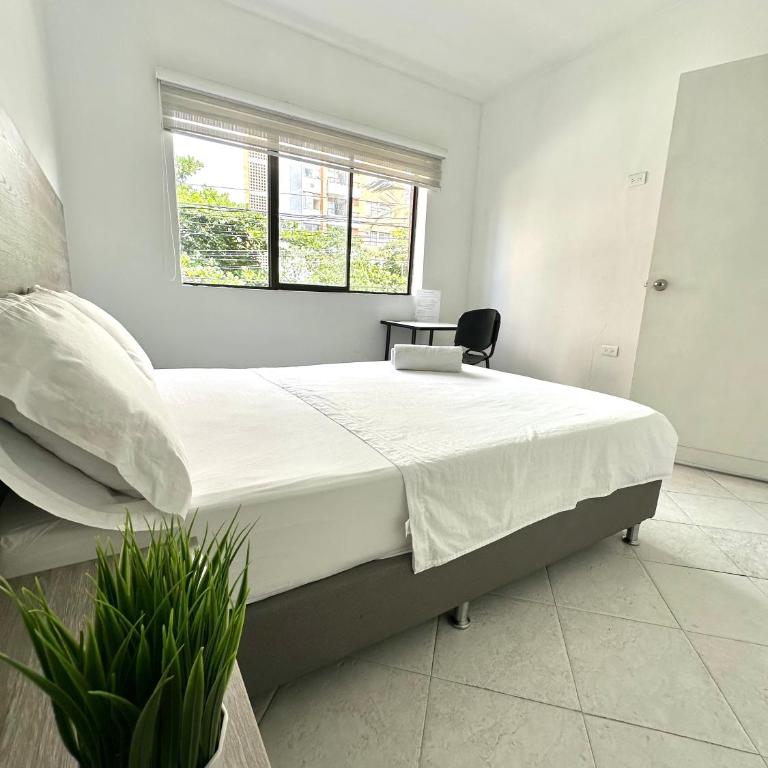 Casa Estadio laureles - Apartamento de 1 dormitorio - 11