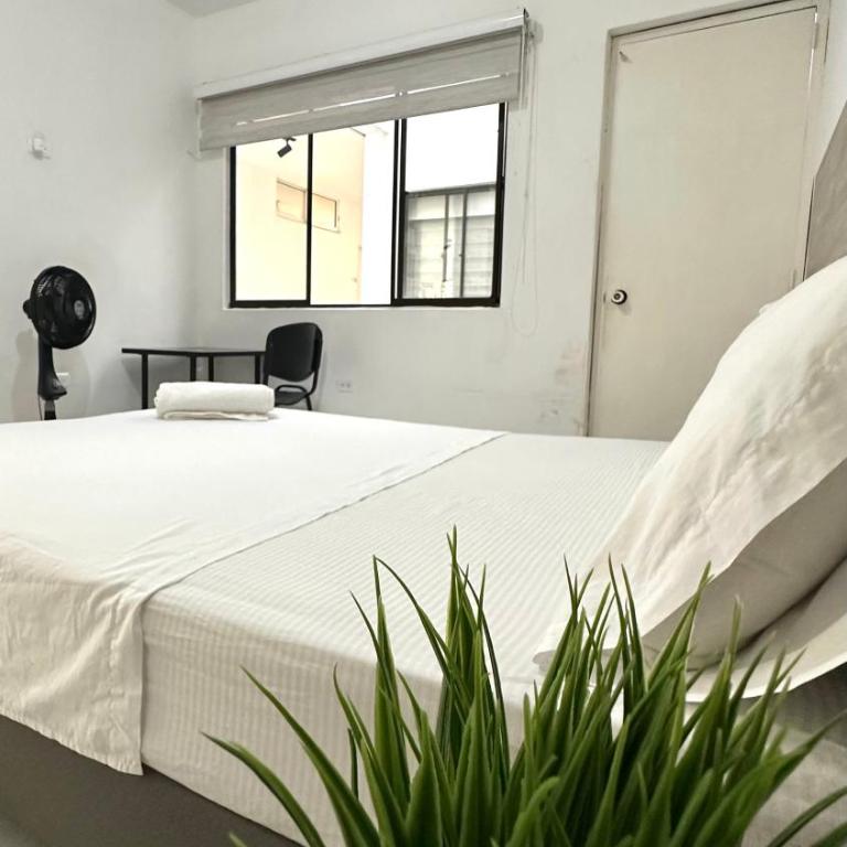 Casa Estadio laureles - Apartamento de 1 dormitorio - 9