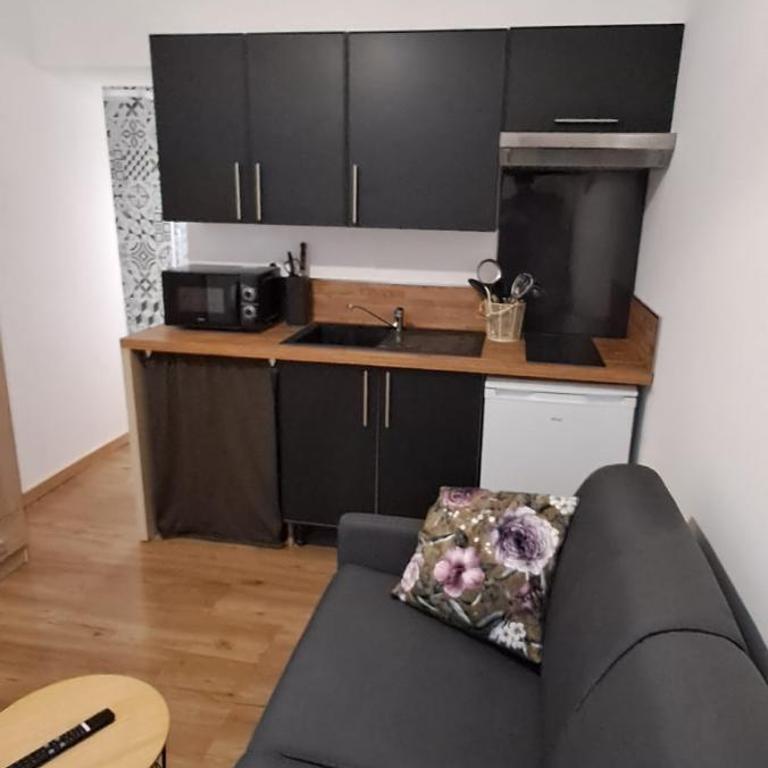 Studio agréable, stationnement gratuit, quartier Anglais - Apartment mit 1 Schlafzimmer - 5