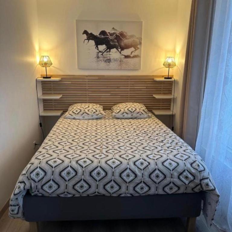 Appartement agréable et confortable pour 4 personnes - Appartement - 17