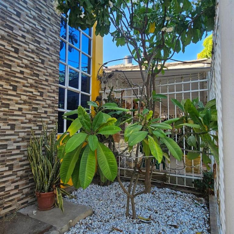 Espectacular casa de 3 pisos con zona social en azotea - Three-Bedroom House - 26