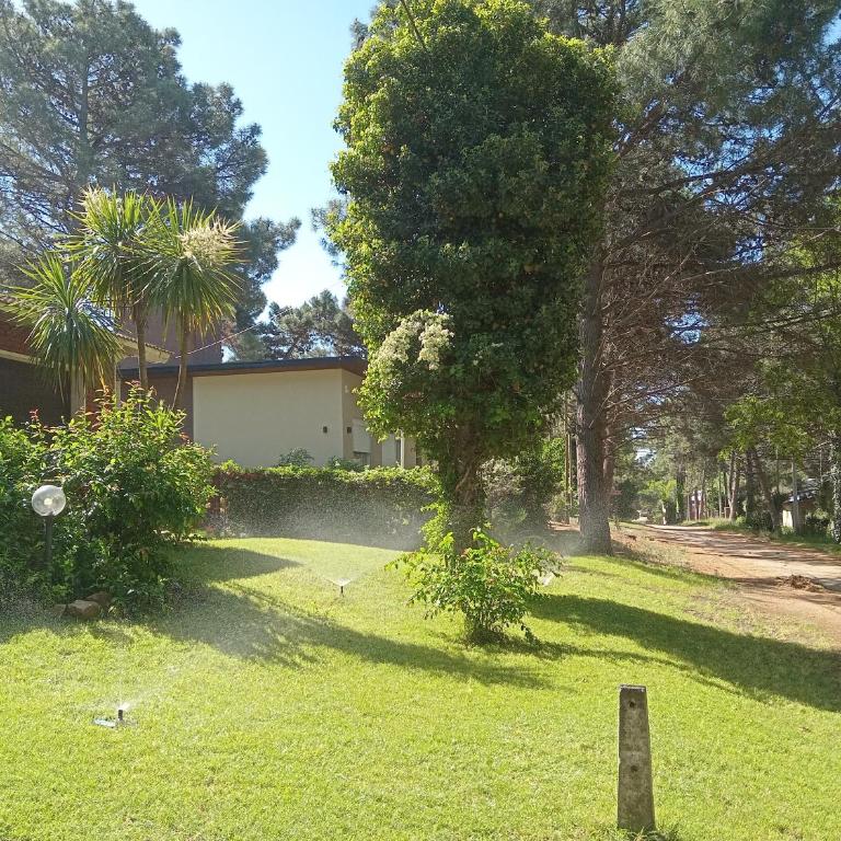 Casa Las Dunas - Two-Bedroom House - 1