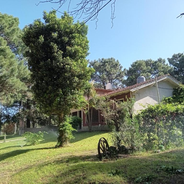 Casa Las Dunas - Two-Bedroom House - 5