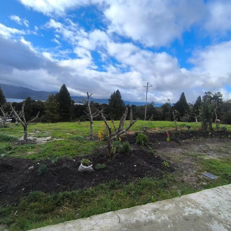 Cabaña El Laurel - One-Bedroom Chalet - 6