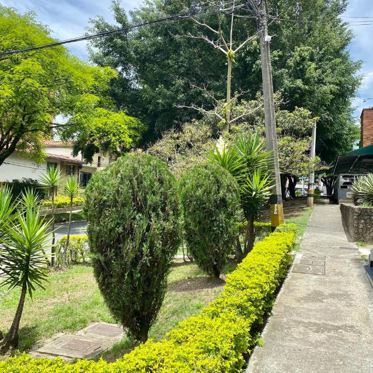 Loft - Laureles, interno con patio - One-Bedroom Apartment - 4