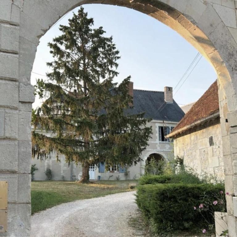 Grand gite en rez-de-jardin - Appartamento con 1 Camera da Letto - 33