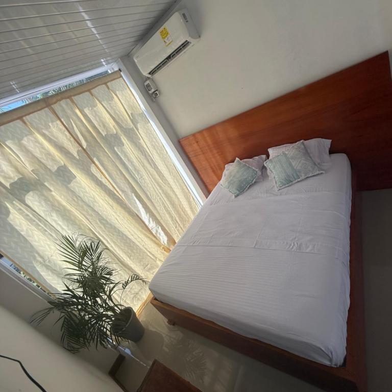 Suite Privada Deluxe Maleiwa- Palomino - One-Bedroom Apartment - 11
