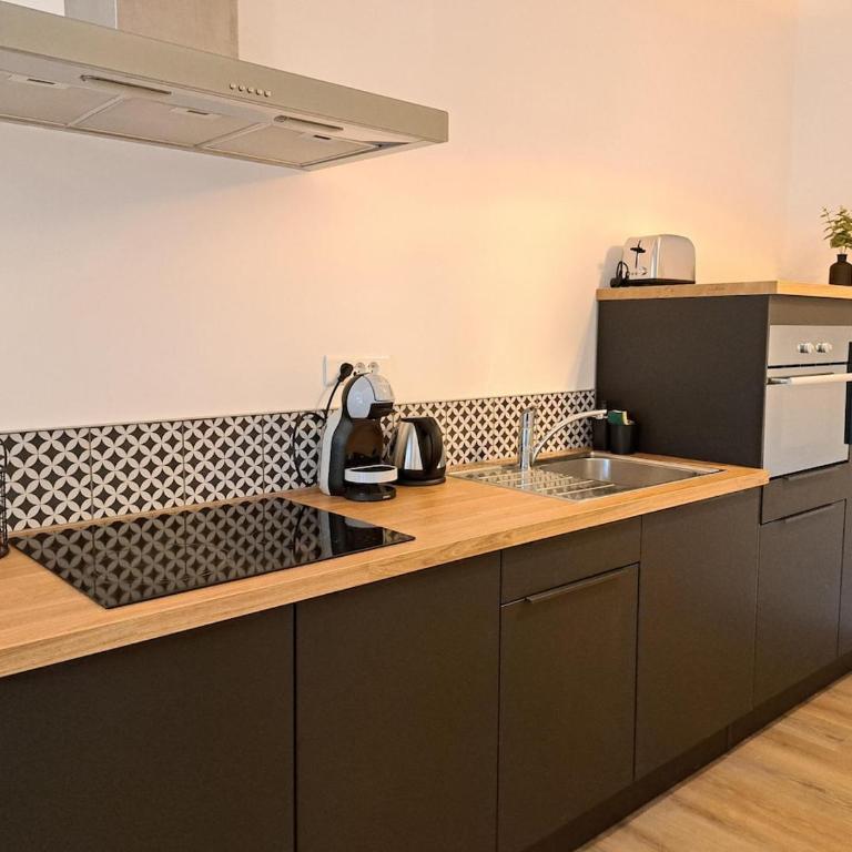 Beautiful Appartment with private garden in Lille - 100m from metro station - One-Bedroom Apartment - 30