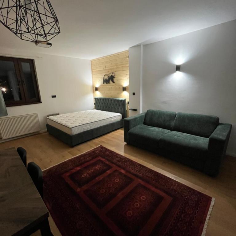 SKI GOAT Kopaonik Centar vila Nikola - One-Bedroom Apartment - 4
