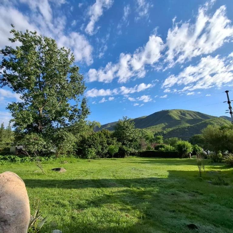 El Rodeo - Rio los Nogales - Casa de 3 dormitorios - 18