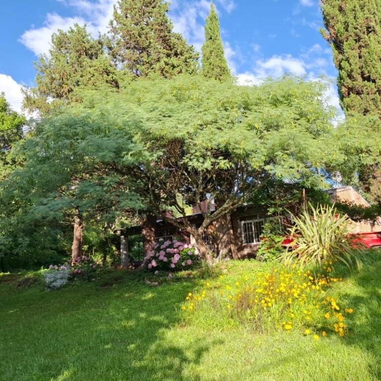 El Rodeo - Rio los Nogales - Casa de 3 dormitorios - 21