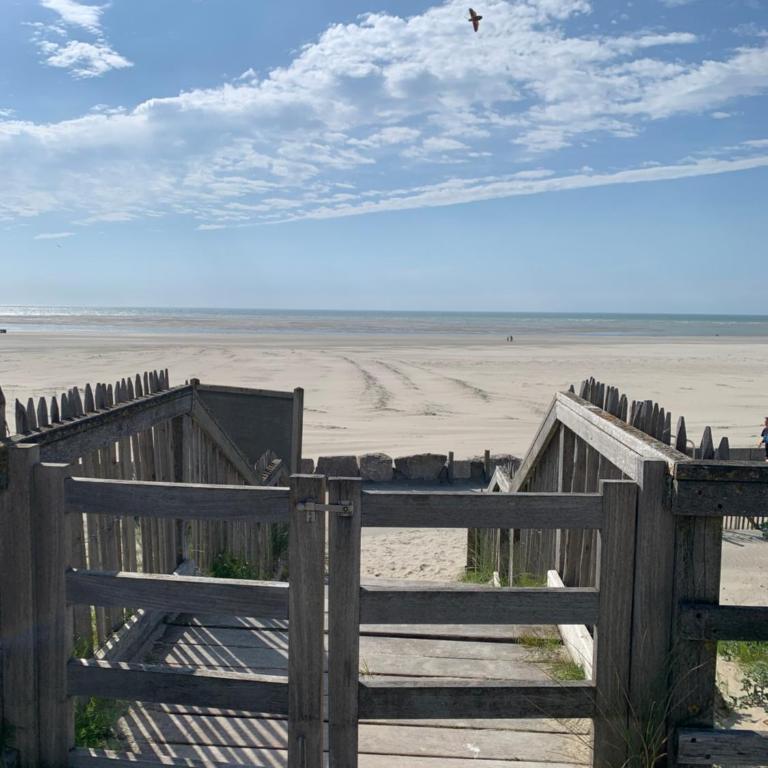 Les Terrasses du Phare, vue mer et accès direct plage, garage, accès PMR - Apartment mit Meerblick - 31