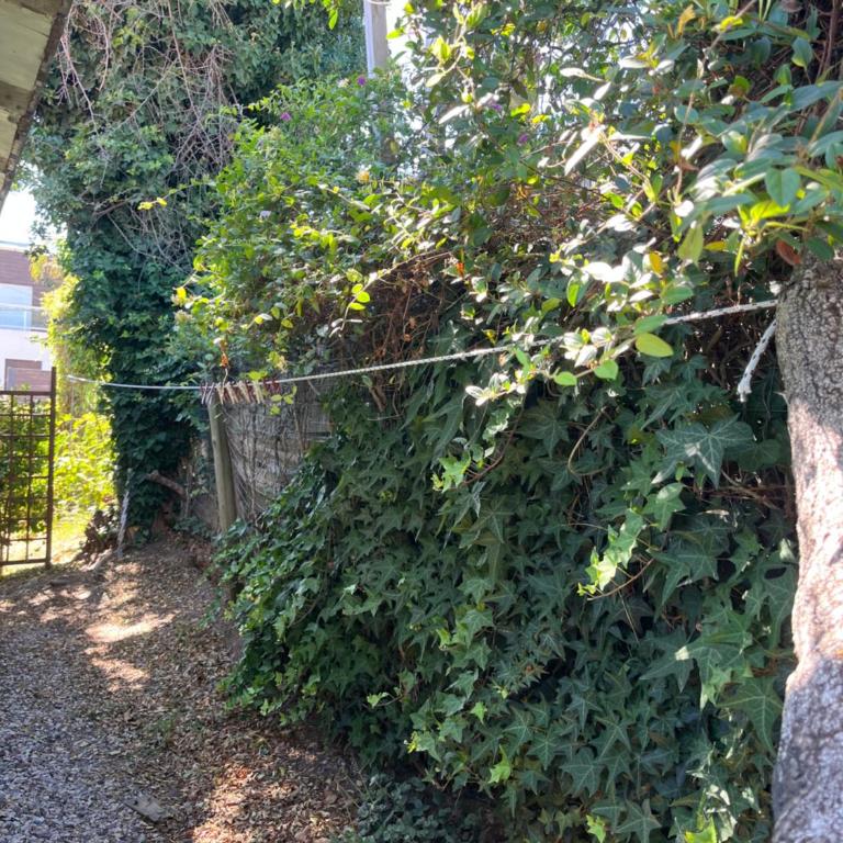 Shiva - Casa con 1 dormitorio - 11