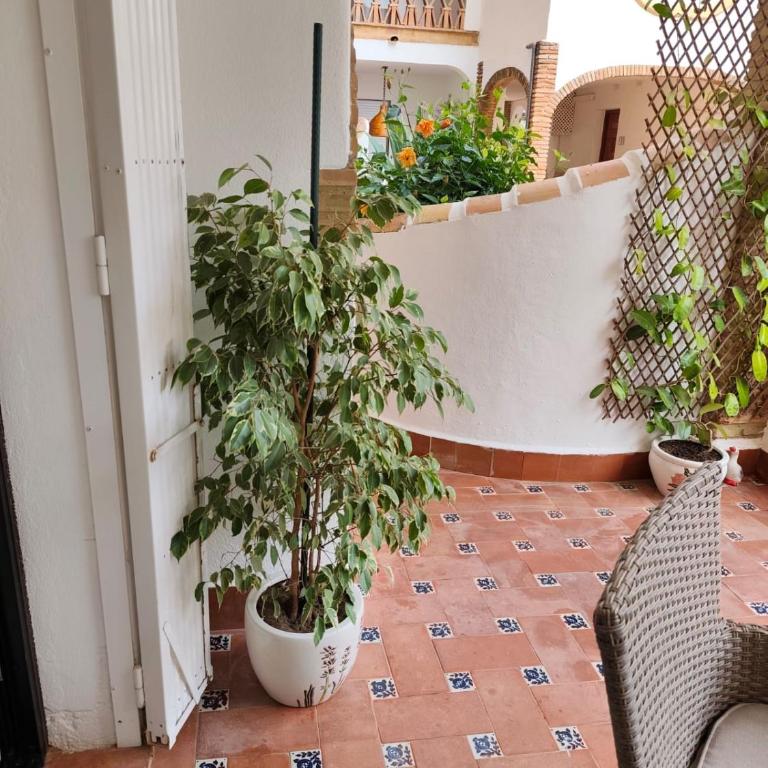 Марбея Citio Calahonda - Apartamento de 1 dormitorio - 47