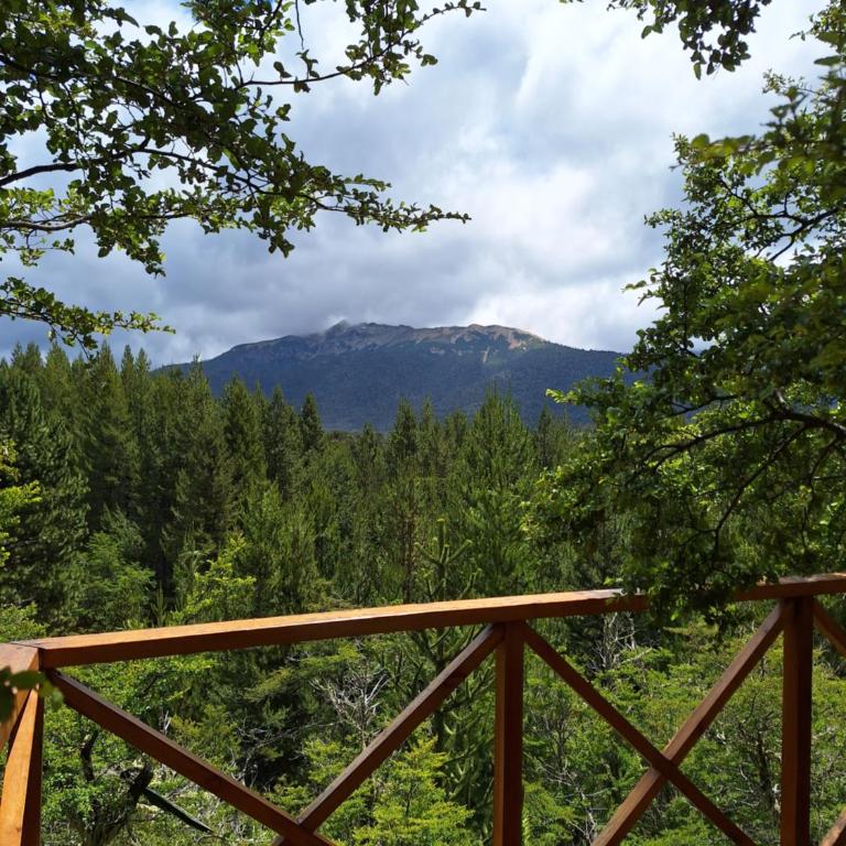 Parajes del Lejano Sur Cabaña El Calden - Apartamento de 2 dormitorios - 35