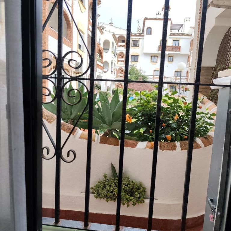 Марбея Citio Calahonda - Apartamento de 1 dormitorio - 24