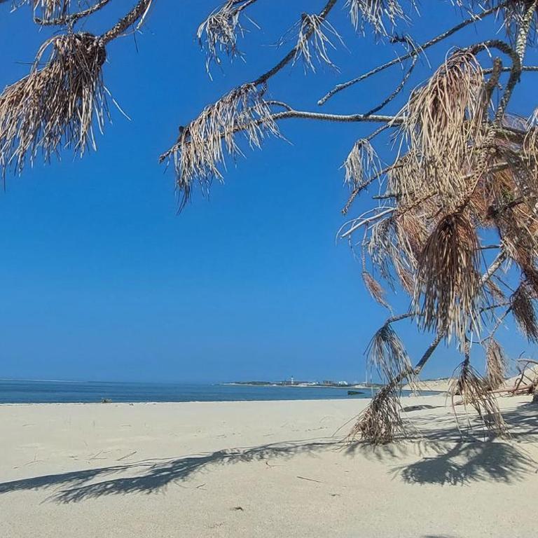 Les Terrasses du Phare, vue mer et accès direct plage, garage, accès PMR - Apartment mit Meerblick - 43