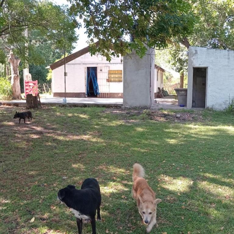 Casa de campo Rancho San Jorge - Apartamento de 1 dormitorio - 11