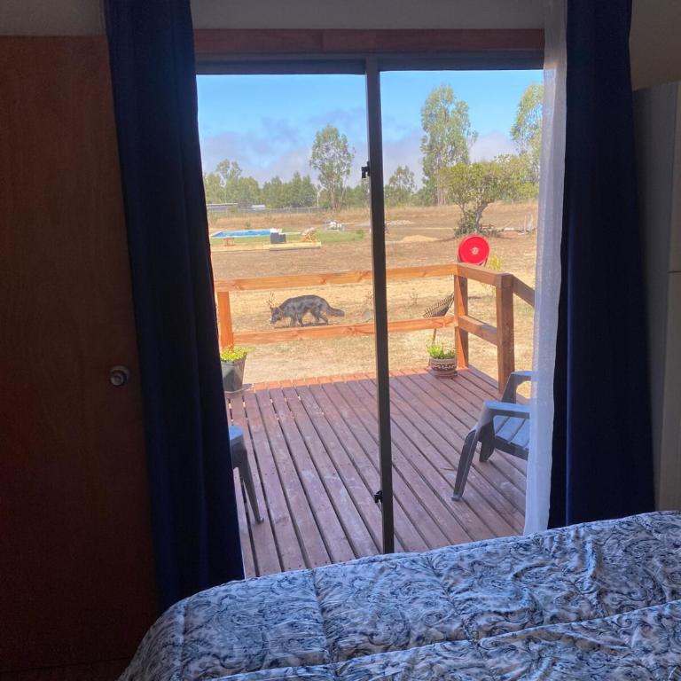 Cabaña Palmas de Tunquen - One-Bedroom House - 12