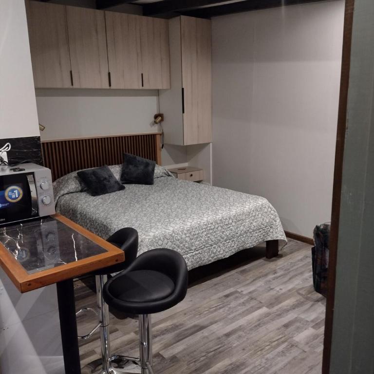 Depto Studio sector Centro Oriente - One-Bedroom Apartment - 3