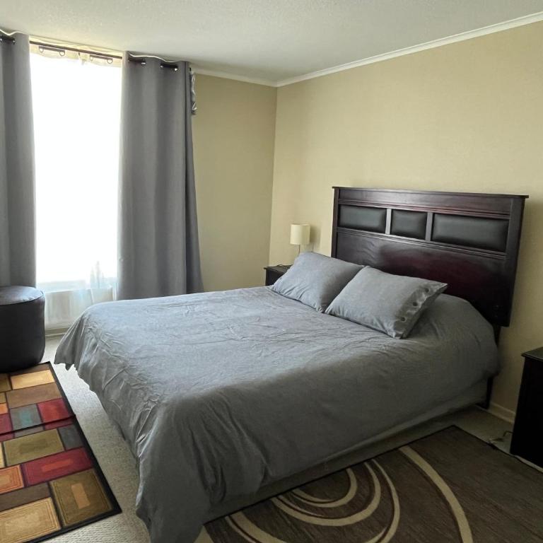Laguna en Algarrobo - Apartment - 8
