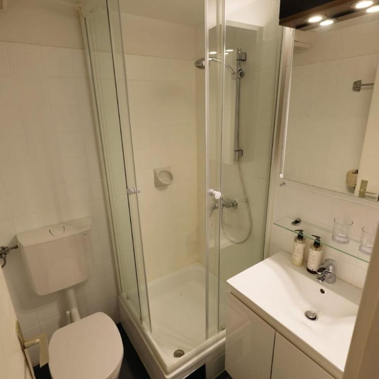 Kleines aber Feines Apartment über Schladming - Apartamento de 1 dormitorio - 9
