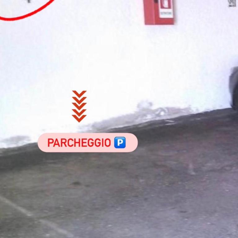 LE VOLPI Marilleva 1400 - Appartamento con 2 Camere da Letto - 14