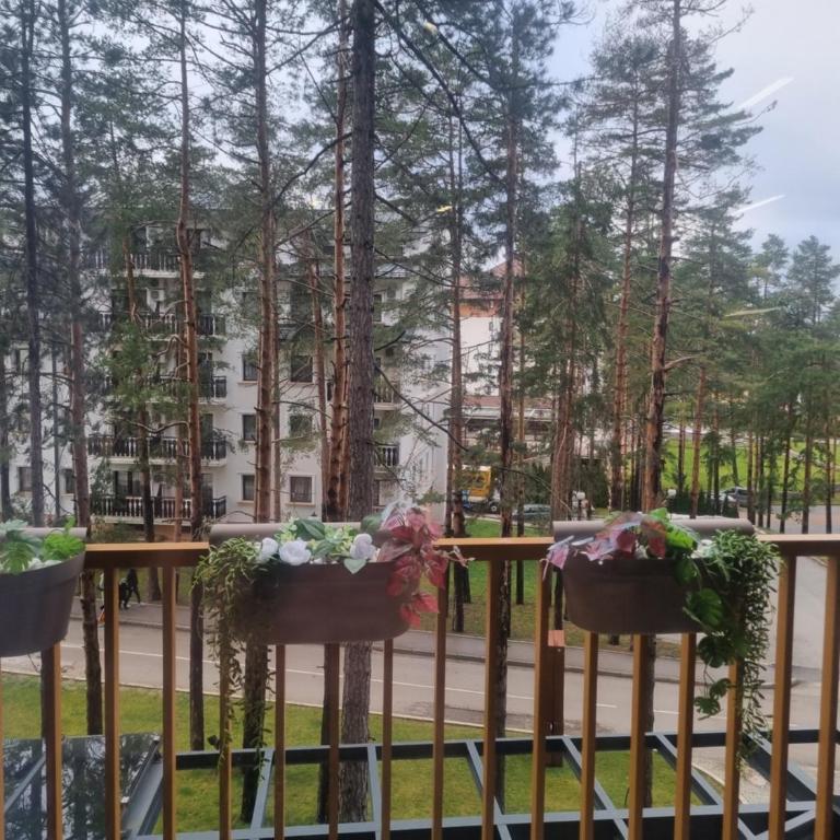 Royal Garden Knezevic - One-Bedroom Apartment - 6