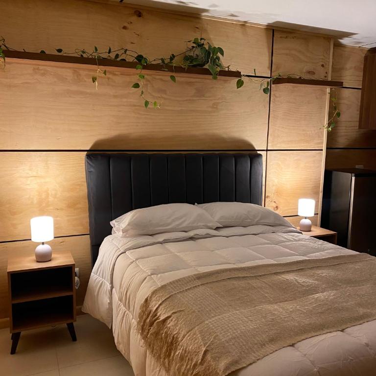 Acogedor espacio en el centro de Concepción - Apartamento de 1 dormitorio - 2