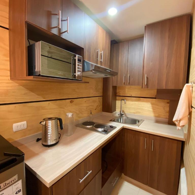 Acogedor espacio en el centro de Concepción - Apartamento de 1 dormitorio - 9